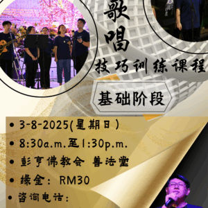 歌唱技巧训练课程（基础阶段）